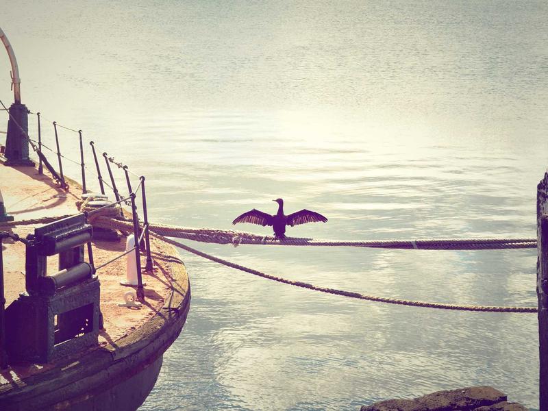 Mantenimiento Semanal Puerto Plata